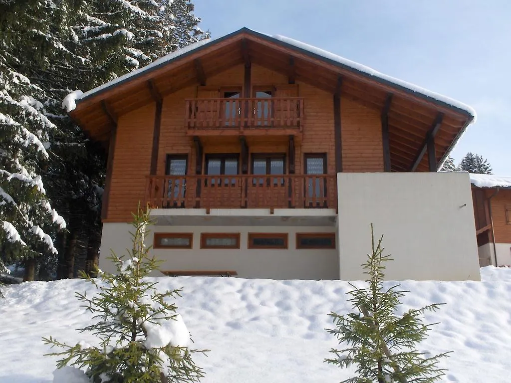 Magnificent Chalet On The Mountain Slopes Les Gets Franciaország