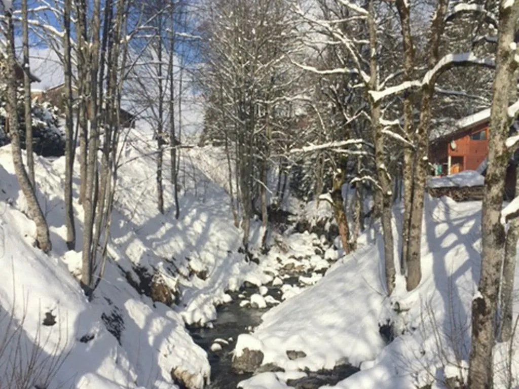Magnificent Chalet On The Mountain Slopes Les Gets